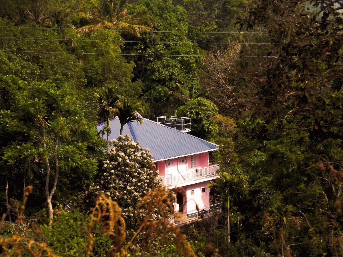 Drizzle Valley Cottage Munnar Exteriér fotografie